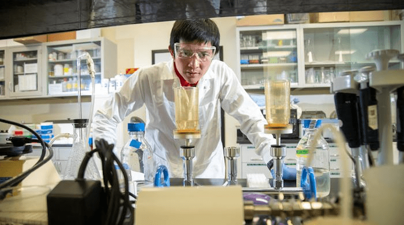 Duc Phan, postdoc researcher testing methods of cleaning reclaimed water at the U.S. Salinity Laboratory, based at UCR. CREDIT: Stan Lim/UCR