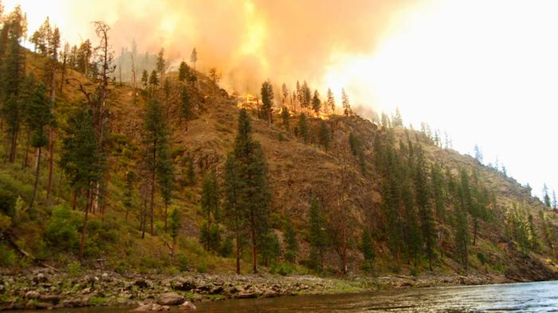 The Elkhorn Fire charred more than 20,000 acres in central Idaho's Payette and Nez Perce-Clearwater national forests on July 30, 2023, burning along 10 miles of the Salmon River and destroying two historic ranch compounds. CREDIT: Brian Maffly, University of Utah