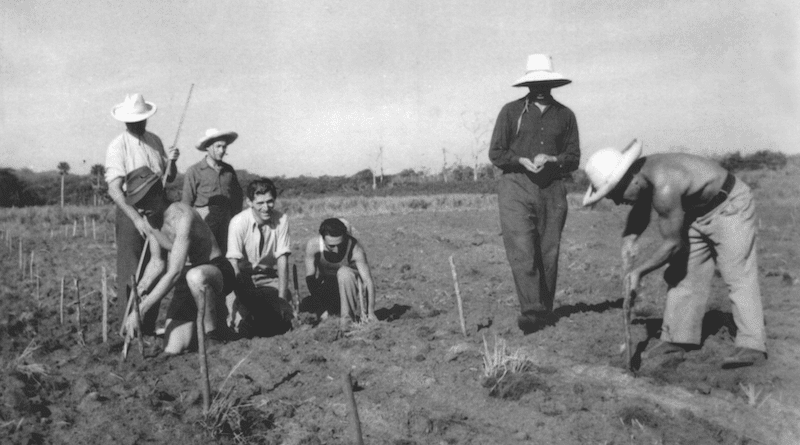 The Caribbean Island That Saved Hundreds Of Refugees From Hitler’s ...