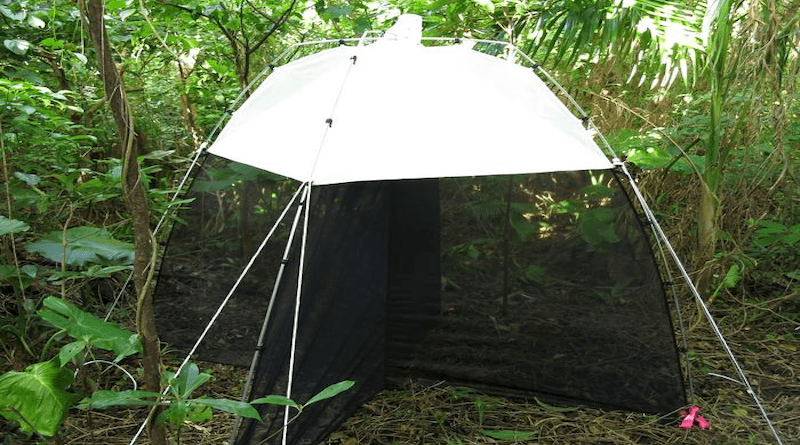Ants were collected in special traps at 24 sites across Okinawa over two years. CREDIT: OKEON, OIST