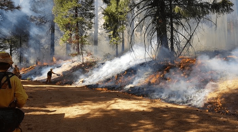 Twenty-Year Study Confirms California Forests Are Healthier When Burned Or Thinned – Eurasia Review