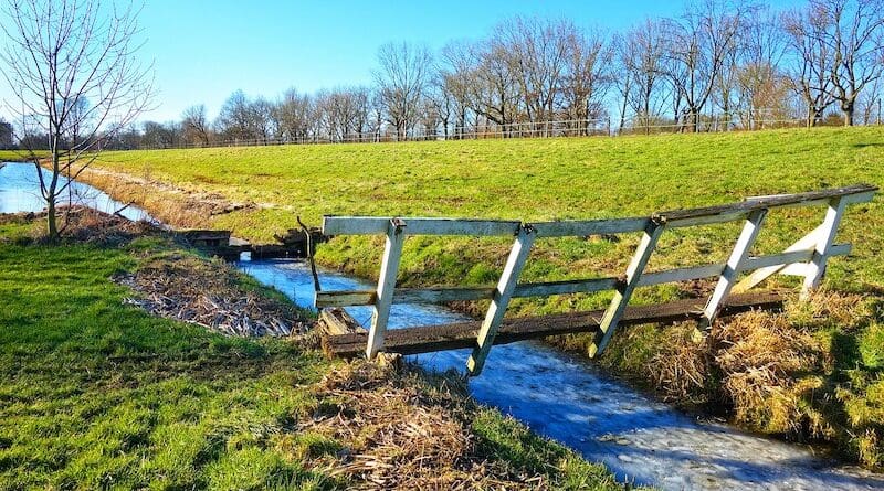 Ditches And Ponds Can Be Sources Or Sinks Of Non-Point Source Pollution ...