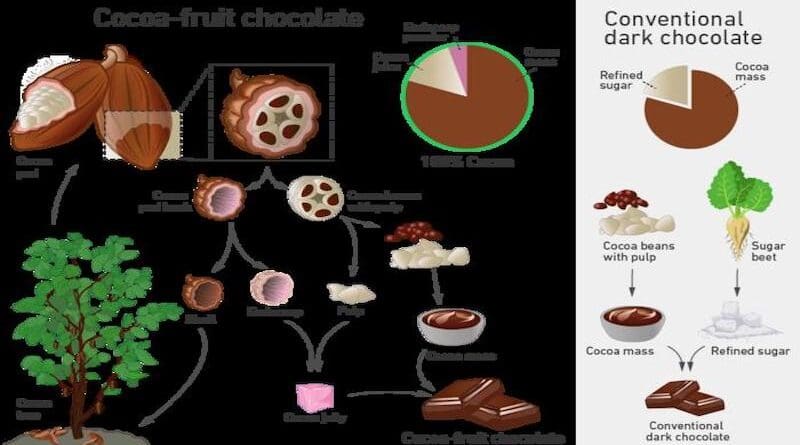 The illustration shows the utilisation of the entire cocoa fruit. CREDIT: Kim Mishra