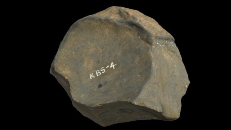 Oldowan core, Koobi Fora, Kenya (First time period, below baselines). CREDIT Curry, Michael. 2020. Oldowan Core, Koobi Fora. Museum of Stone Tools. Retrieved June 10, 2024.