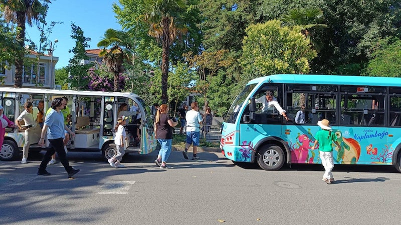Electric buses on Princes' Islands of Istanbul (photo supplied)