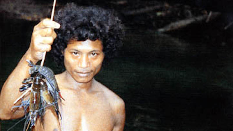 A Togutil man at Halmahera island. Photo Credit: Muhammad ECTOR Prasetyo, Wikipedia Commons