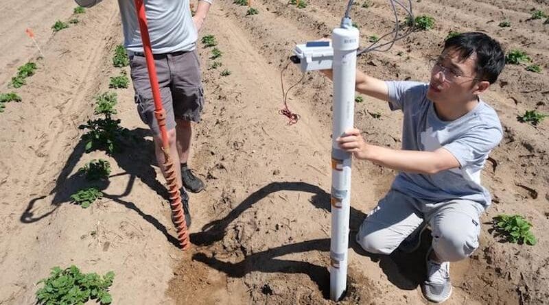 Soil science PhD student Shuohao Cai places a sensing rod, which has multifunctional sensing stickers positioned to enable multi-depth measurements, in soil at UW-Madison’s Hancock Agricultural Research Station to test the team's technology. Credit: Kuan-Yu