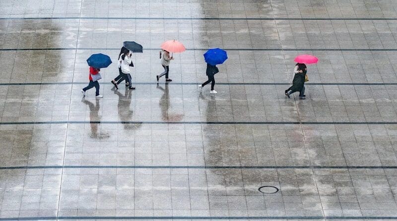 rain people umbrellas