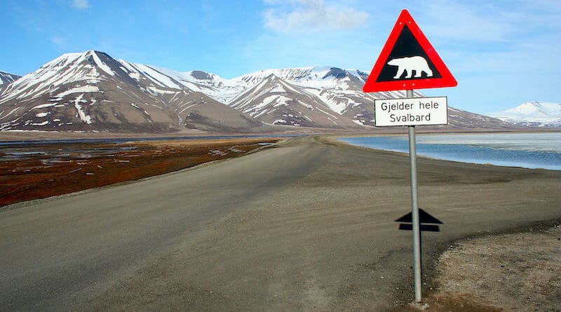A road sign indicating the chance of polar bear appearance in Svalbard, Norway. Photo Credit: Sprok, Wikipedia Commons